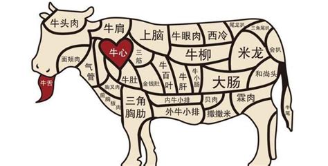 建议收藏！标准图文讲解国产牛肉等级划分和选购指南_牛羊肉_什么值得买