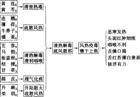 普济消毒合剂 Pu Ji Xiao Du He Ji（500ml） - Litran Trading Co. Pte. Ltd.
