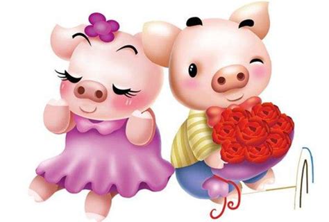 猪和猪婚姻如何 两个属猪的结婚会幸福吗_婚嫁习俗_婚庆百科_齐家网