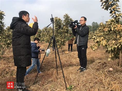 《快手三农生态报告》发布 “直播+短视频”助力乡村振兴_TechWeb