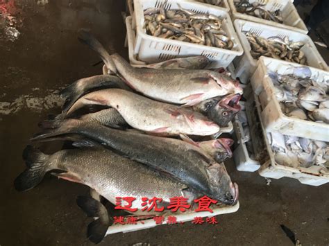 [马哈鱼批发]马哈鱼 大鱼，产红鱼籽的大鱼，优等品，每条6-10斤价格28元/斤 - 惠农网