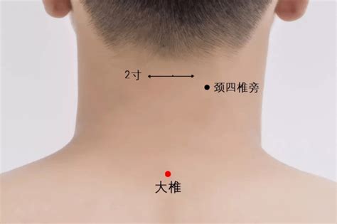 大包的准确位置图图片
