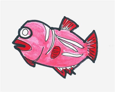 幼儿4～6岁画画大全 创意简笔画鱼的画法图解教程 肉丁儿童网