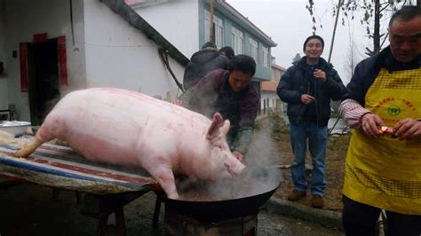 杀年猪、吃庖汤（组图） - 黔东南县市新闻-黄平 - 黔东南信息港