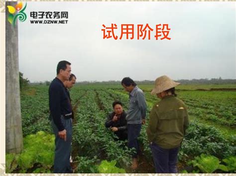 中国农业大学新闻网 媒体农大/科技之窗 “七大农作物育种”专项玉米单倍体技术规模化应用