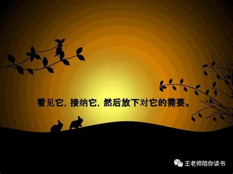 佛教歌曲《放下》印良法师_腾讯视频