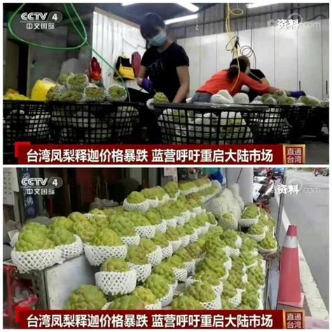 台湾农产品销往大陆 台凤梨价格是菲律宾凤梨两倍_手机新浪网