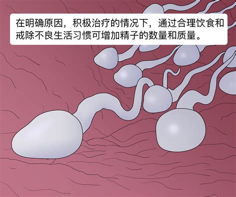 试管婴儿和人工受孕（人工授精和人工受精有何不同）-幼儿百科-魔术铺
