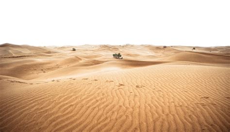 身穿沙里和头巾的年轻女子在干旱无生命的沙漠中高清图片下载-正版图片505458859-摄图网