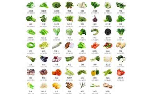 新鲜的蔬菜图片免费下载_PNG素材_编号z7rijrqwj_图精灵