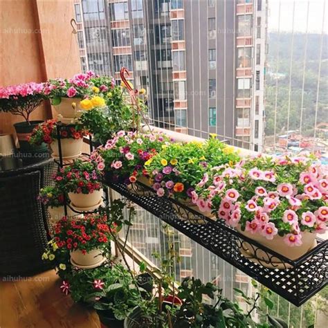 阳台怎么养花？_养花知识 - 花卉网