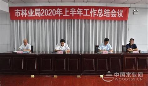 临沂市林业局召开2020年上半年工作总结会议-中国木业网