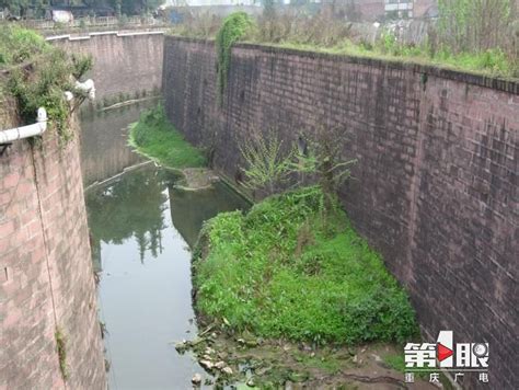 第一眼新闻：坚持推进河长制 永川临江河里的水清澈了_重庆市水利局