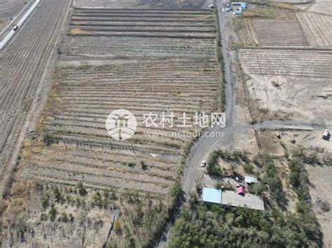 新疆昌吉州吉木萨尔县一千亩草原使用权转让-农村土地网