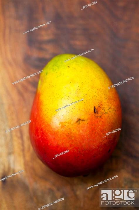 A Single Mango, Stock Photo, Picture And Rights Managed Image. Pic. SFD ...