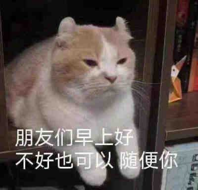 俺的图图呢图片