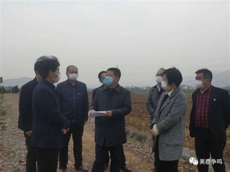 九江市副市长、彭泽县委书记一行到堰塘村调研扶贫工作-桃红岭保护区-关注森林网