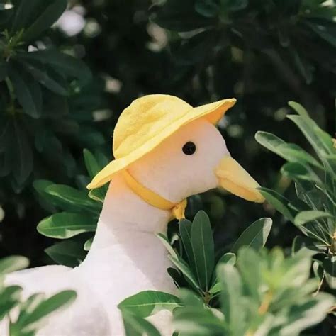 绿色背景非主流头像