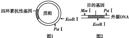 MSE与MAE_mae和mse-CSDN博客