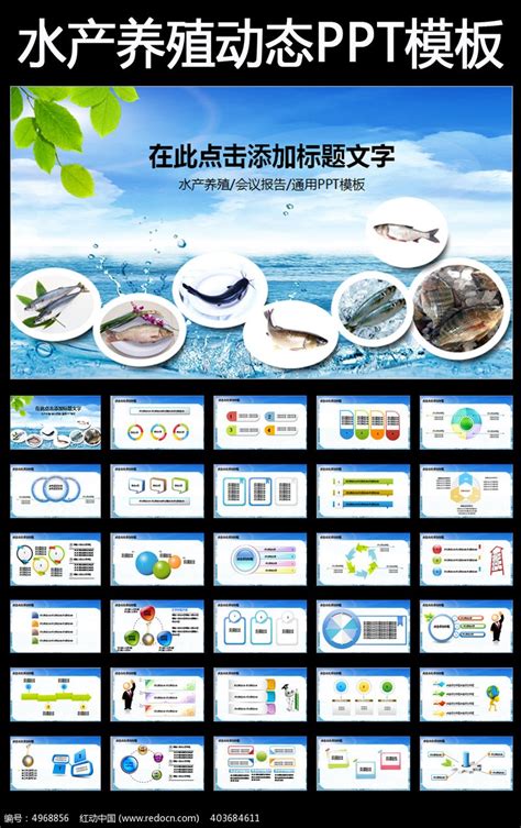 2022中国（福州）国际渔业展览会Fisheries Expo_时间_地点_门票_去展网