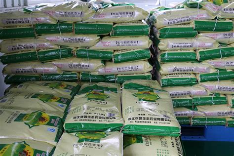 赶在收粮的前面-基层动态-黑龙江省北大荒米业集团有限公司