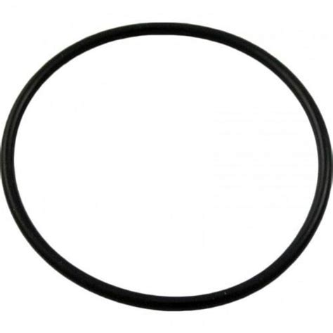 Pentair 192323 O-Ring for Pool or Spa DE Filter and Pump - Ez Hot Tubs