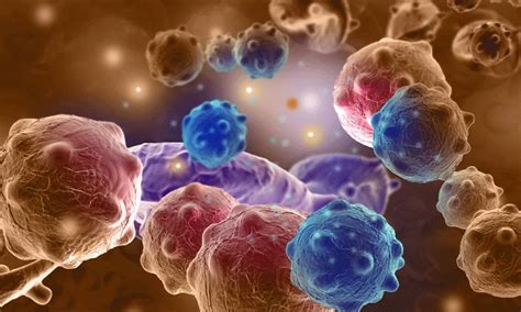 NK细胞疗法,NK细胞的作用功能有哪些_全球肿瘤医生网