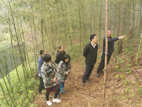 官方回复：遂川人关心的在遂川设站点的“长赣高铁”到底何时开工？_井冈山