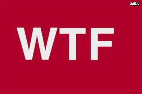 新词wtf你该怎么回复呢?这个缩写又是什么意思呢？ - 明星 - 冰棍儿网