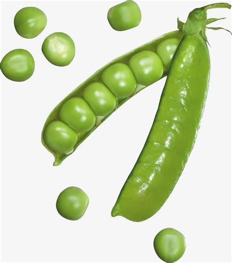 小豌豆