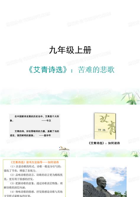 艾青诗选_第1章 出版说明在线阅读-起点中文网