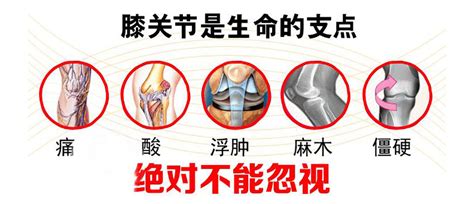 世界关节炎日：牢记这5个保护关节的小贴士，且行且珍“膝”-新闻动态-新闻中心-广州市御瑶生物科技有限公司