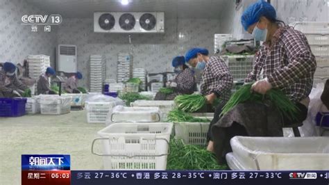 全国基层农技推广机构星级服务创建工作推进会在滁州召开_滁州市农业农村局