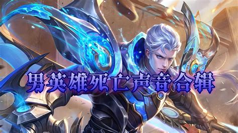 王者荣耀男英雄大鸟图片