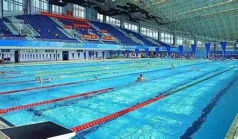 哈尔滨市游泳馆和市人民体育馆将启动维修改造|哈尔滨市|体育馆|南极_新浪新闻