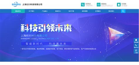 上海某科技公司网站建设_上海IT外包_网络维护_弱电工程_系统 ...