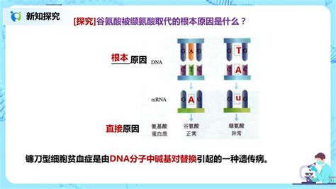 画基因结构图 gggenes 用法-CSDN博客