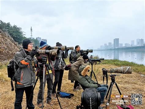 “互联网+巡回审判” 德阳三千余名师生观看庭审直播_澎湃号·政务_澎湃新闻-The Paper