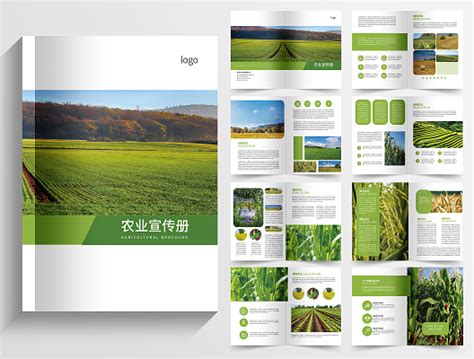 农产品推广海报设计-农产品推广设计模板下载-觅知网