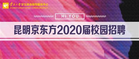 昆明京东方2020届校园招聘-云南大学软件学院网站
