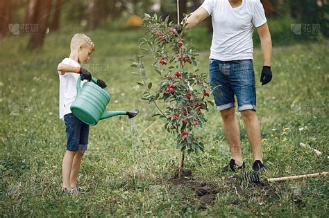 父亲和小儿子正在院子里种树