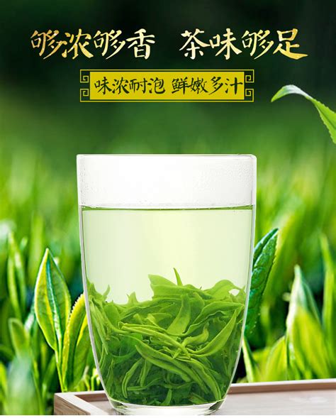 【绿茶】云雾绿茶品牌全案营销案例-营销策划-红动中国