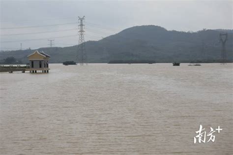 西、北江洪水流量增3倍 佛山海事多措并举做好防汛工作 - 橙心网