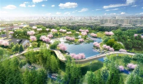 公园路改造提升工程开工 预计春节前建成亮相 - 永嘉网