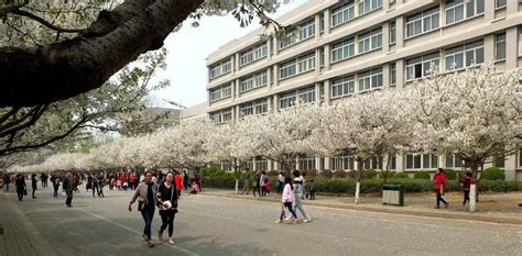 许昌最好的高中排名前十名的学校（2023许昌重点中学排名一览表）-广东技校网