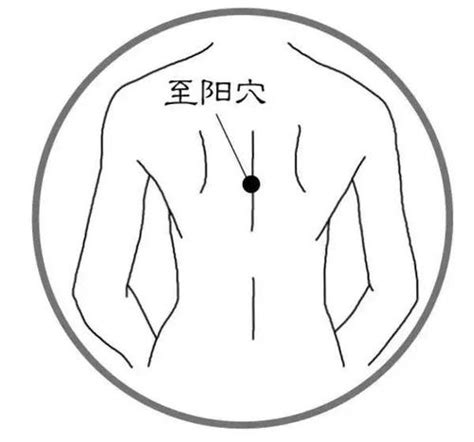 至阳的准确位置图图片 至阳的准确位置图图片