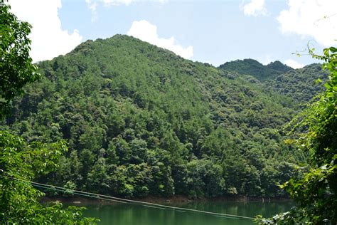 七坡林场、热林中心入选第二批10个全国森林可持续经营典型试点单位 - 信息快报 - 广西壮族自治区林业局网站