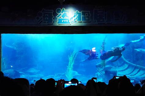 武汉东湖海洋世界游客中心设计案例-游客服务中心-游客集散中心规划设计-海洋主题公园规划设计案例