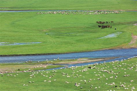 俯拍草原牧场马群羊群河流,草原风光,自然风景,摄影,汇图网www.huitu.com