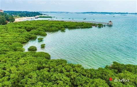 金海湾红树林生态旅游区在哪里 门票信息及交通攻略_旅泊网